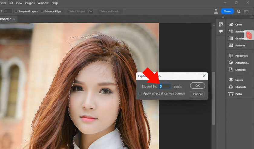 enter the number of pixels to expand the selection area
