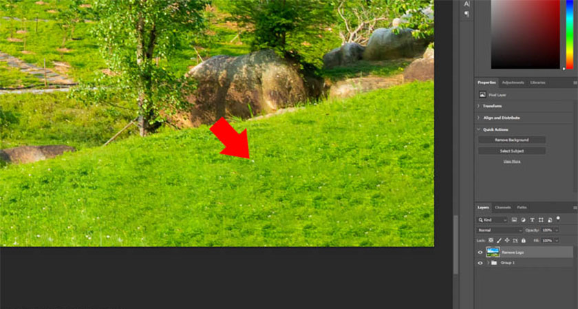 The image after deleting the logo