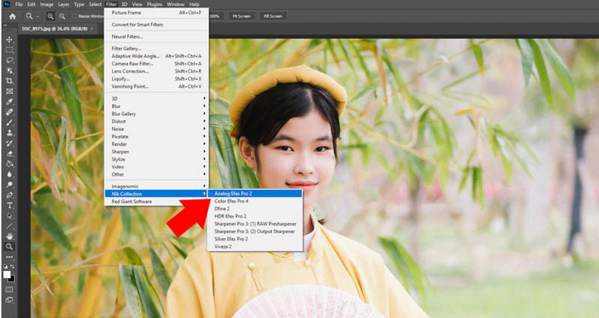 select Analog Efex Pro 2