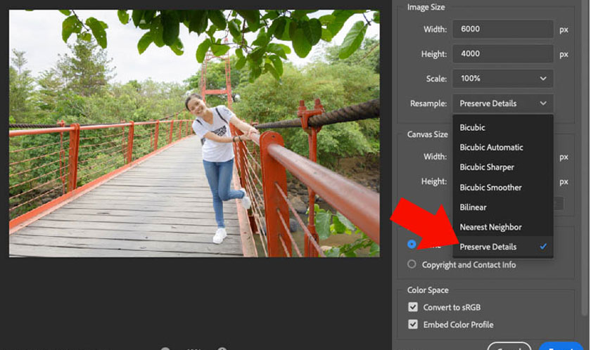 select Convert to sRGB so that the image displays accurate colors on different devices