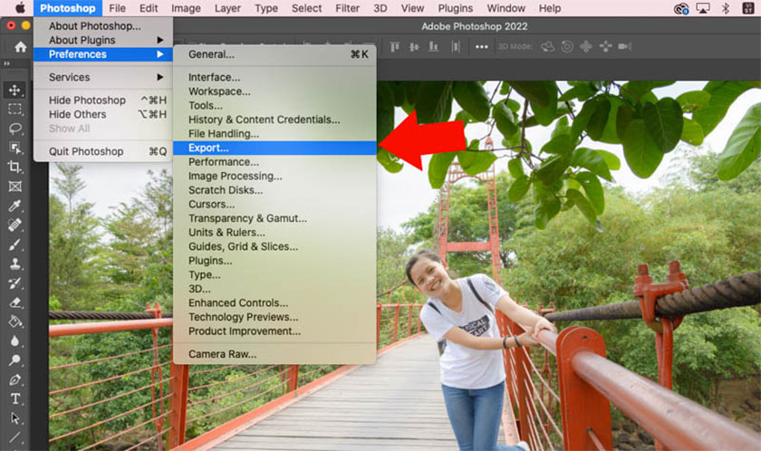 Export Preferences