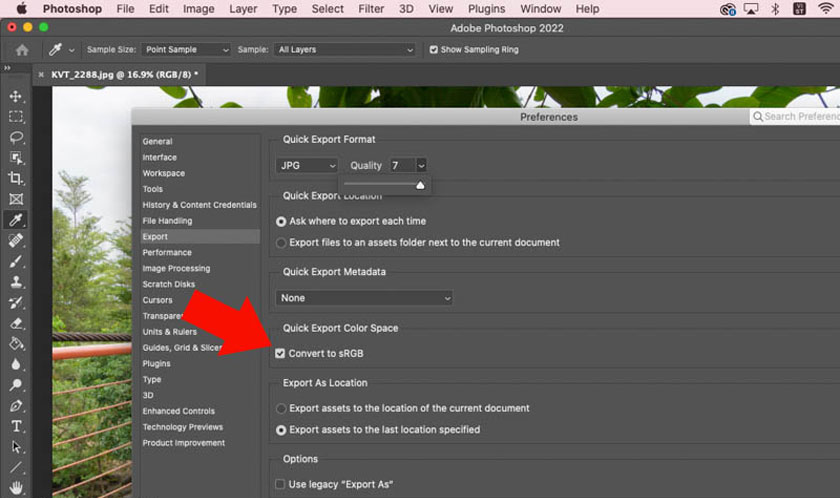 choose Convert to sRGB