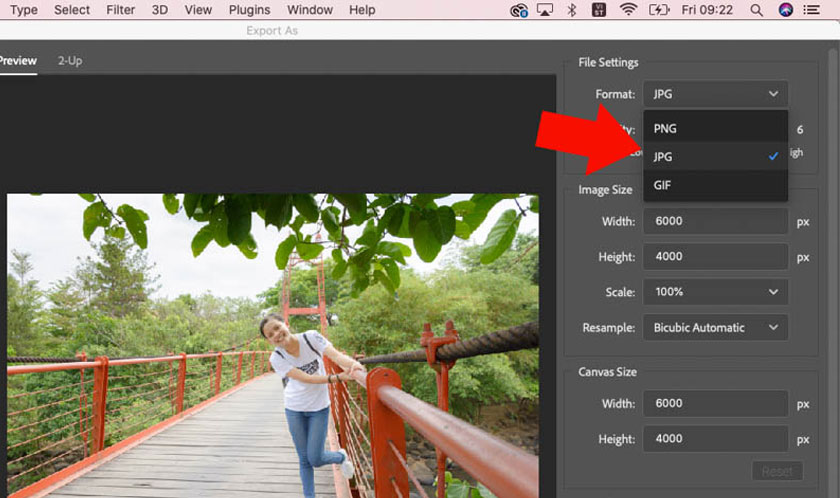 choose the JPG image format