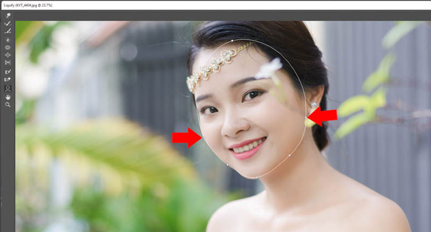 click on the dot next to the red arrow then drag it inward