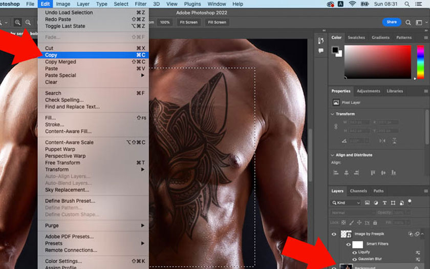 click on the Layer Background corresponding to the model