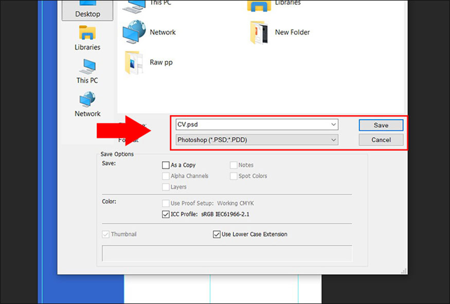 Save CV in PDF format
