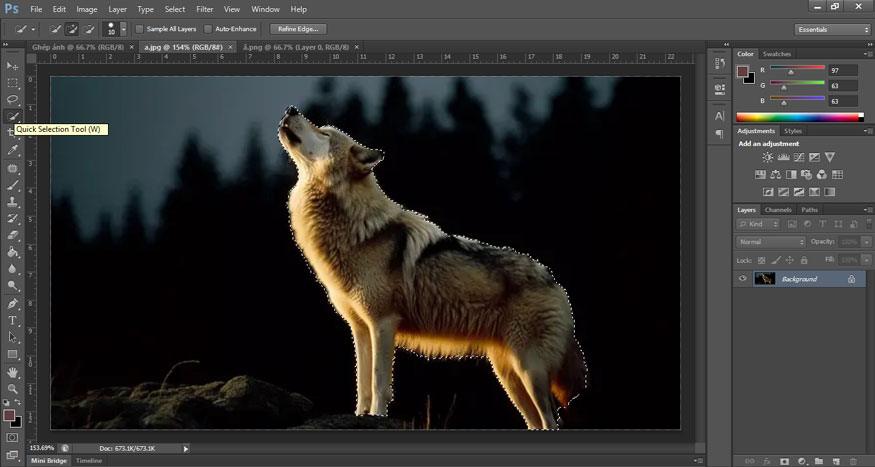 use the Quick Selection Tool (W) to create a selection of the dog. Make the selection as detailed as possible