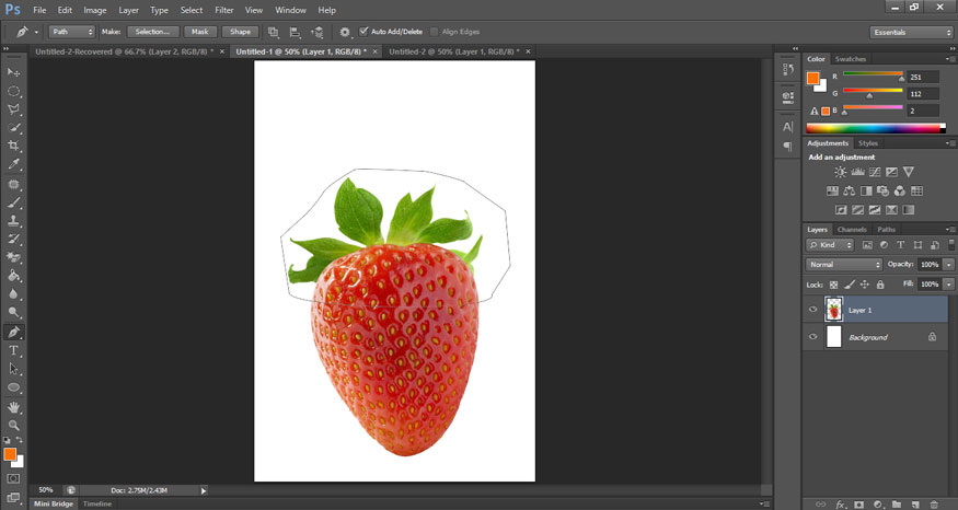 use the Pen Tool 