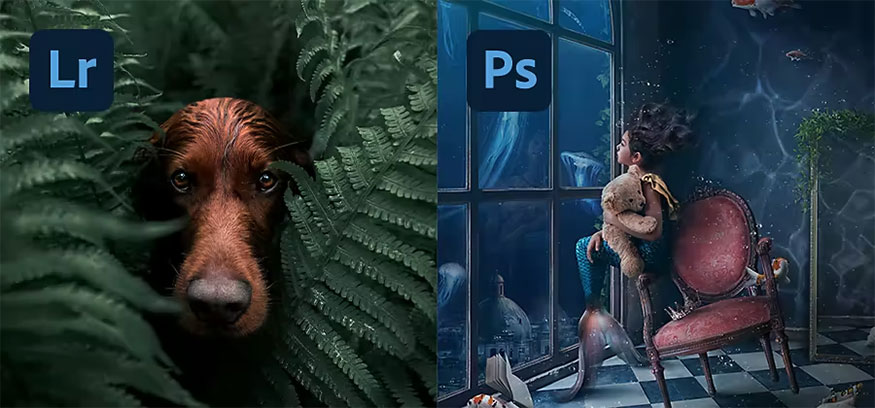 Similarities 