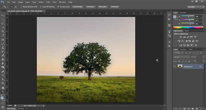select the image 