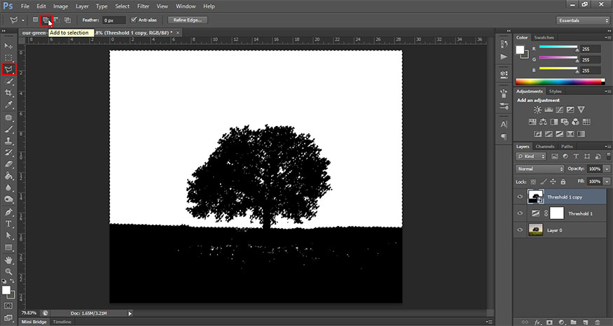select Polygonal Lasso Tool