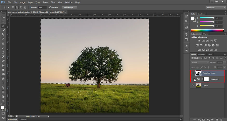 Hide the layer by clicking on the eye image to the left of the layer