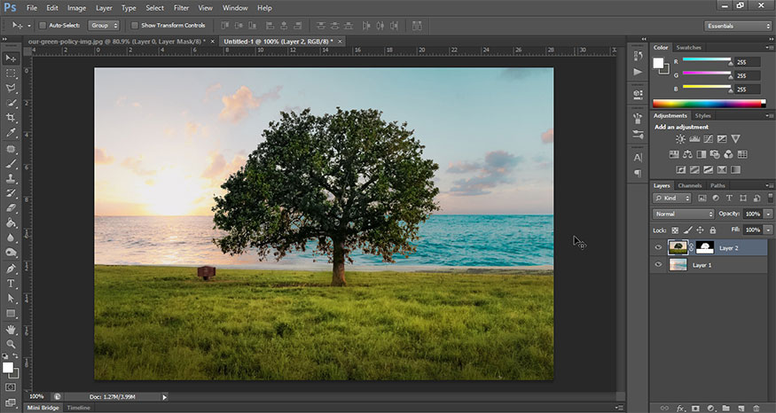 combine this tree into many different photo backgrounds