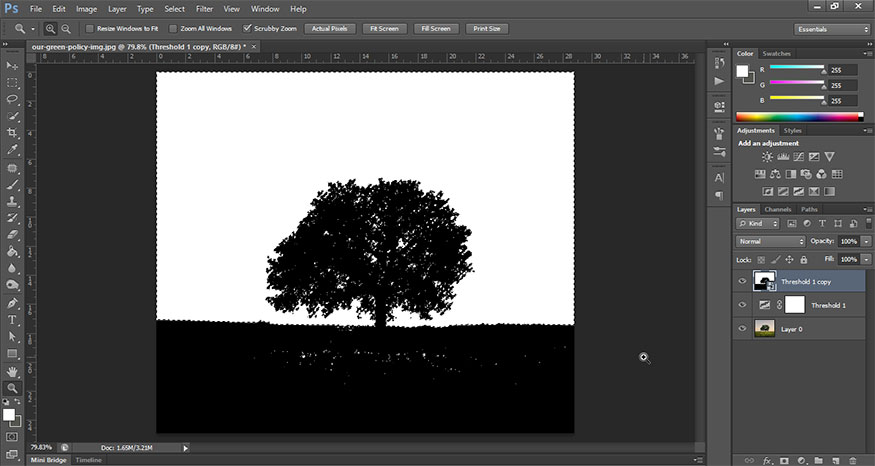 We can see that the white areas are all selected.