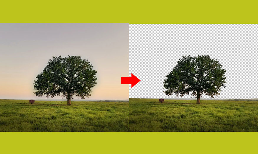 separating the background of photos