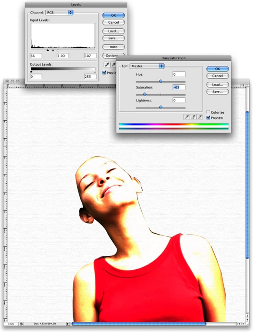 Hue/Saturation and change the value of Saturation to -65.