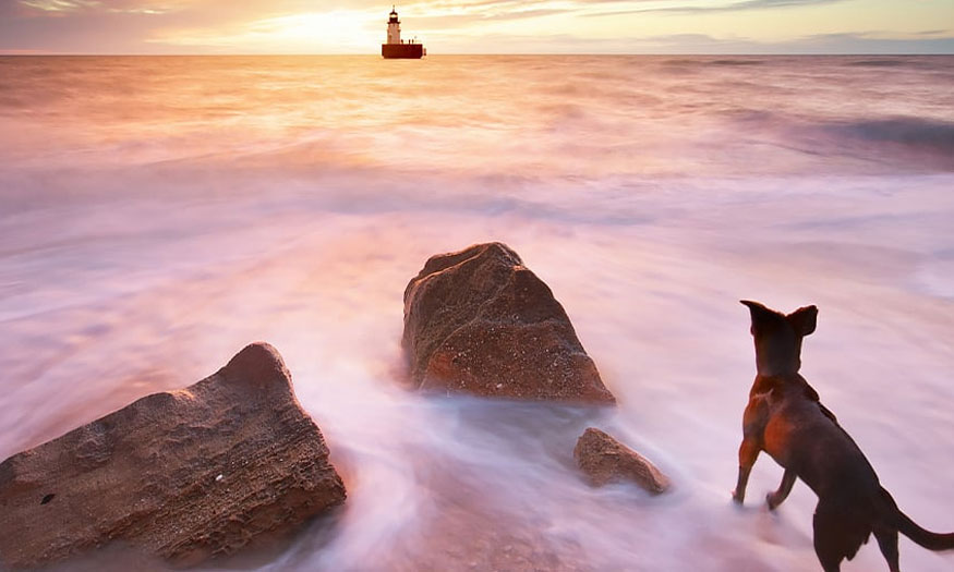 Use Adobe Firefly in Photoshop