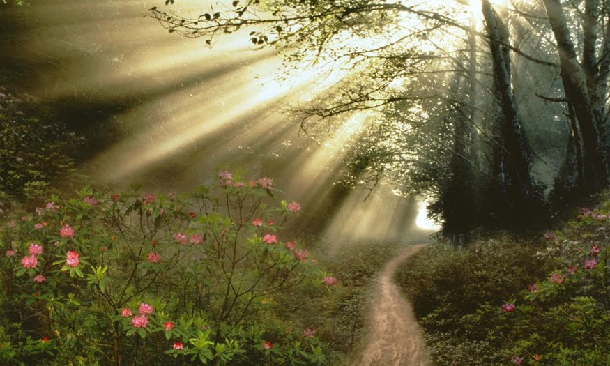 adding-sun-rays-in-photoshop