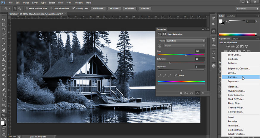 Then create a Curves layer.