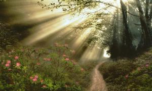 How to add sun rays in Photoshop