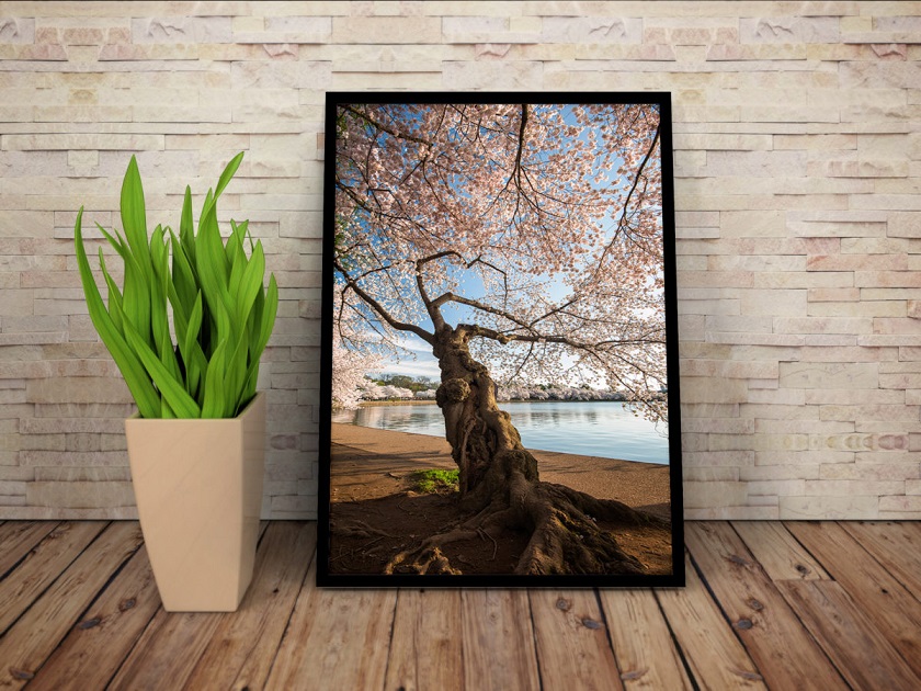 How to prepare your images for print